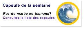 Capsule - Raz-de-marée ou tsunami?